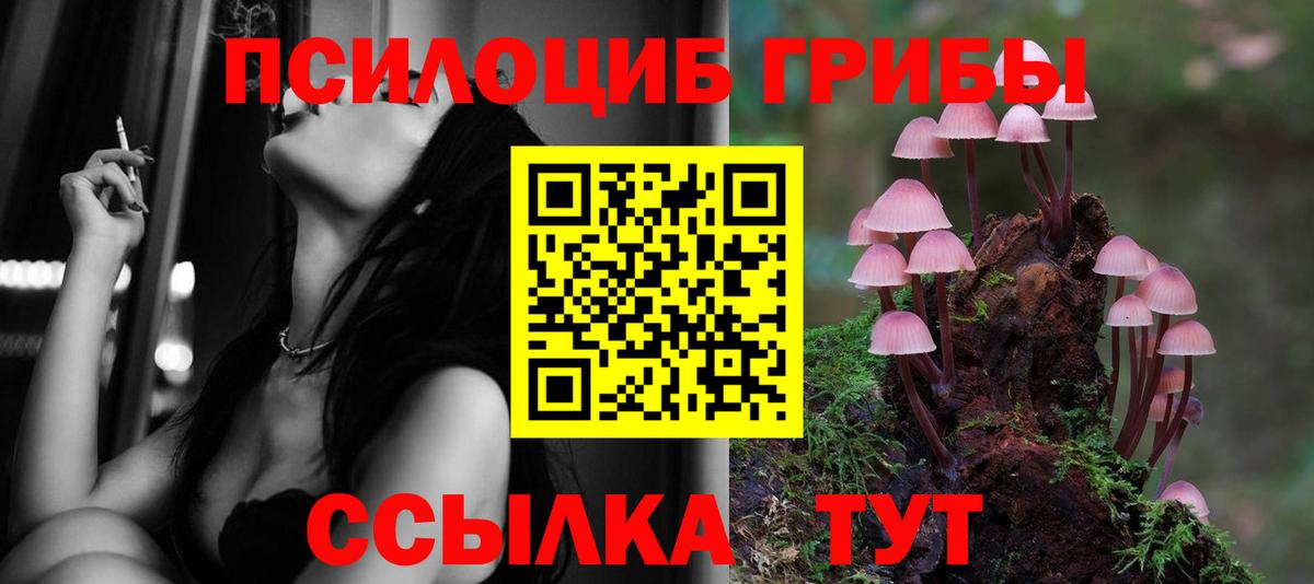 продажа наркотиков  Вход с VPN  Саянск  Галлюциногенные грибы MAGIC MUSHROOMS 