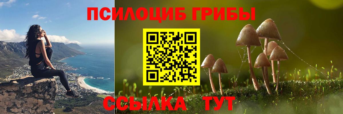 Галлюциногенные грибы ЛСД Саянск